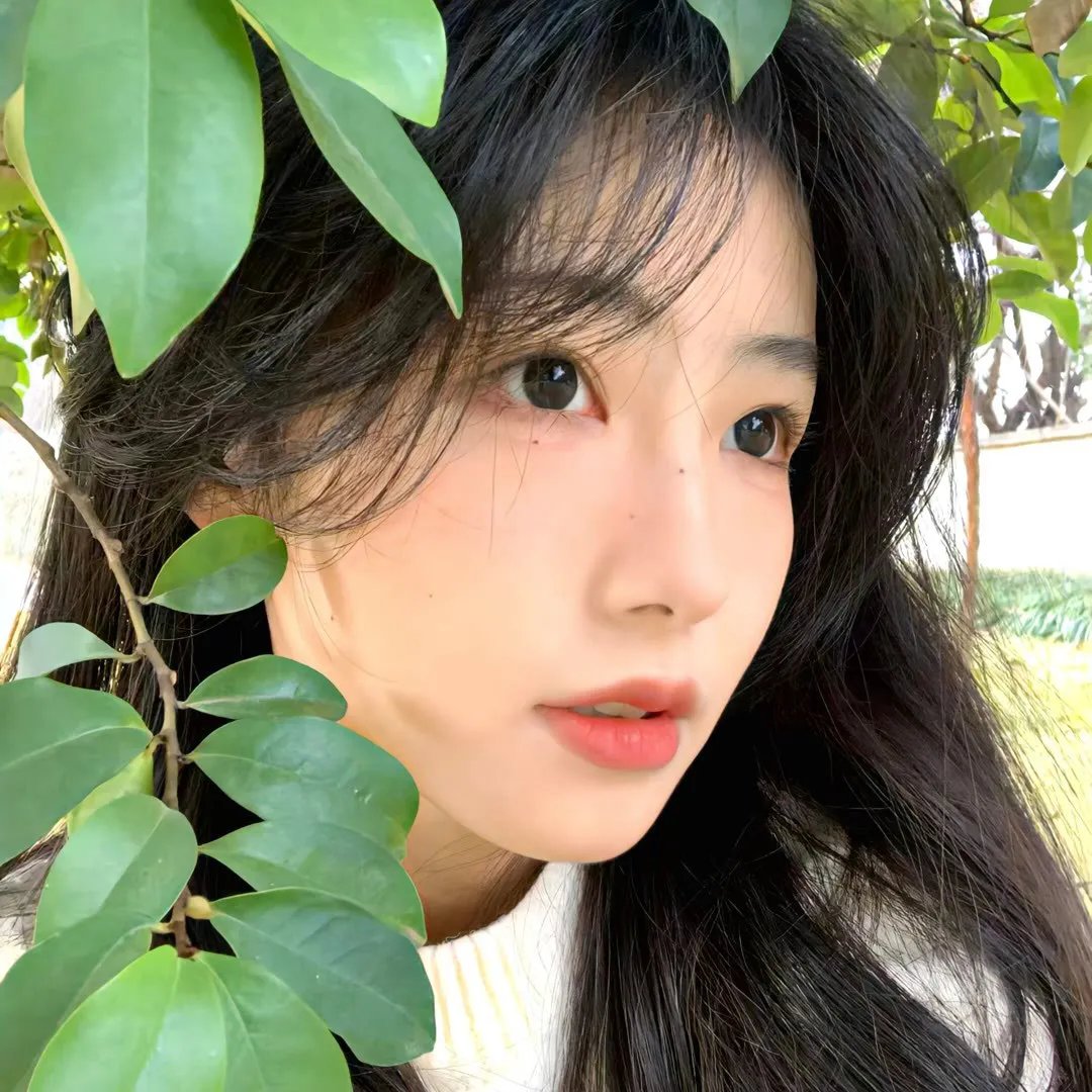 小马王